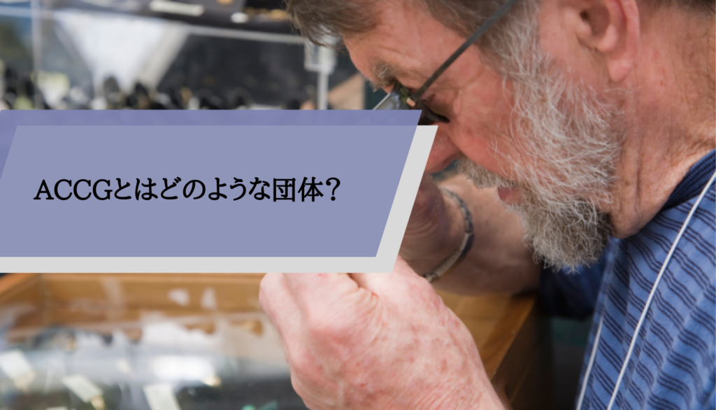ACCGとはどのような団体？